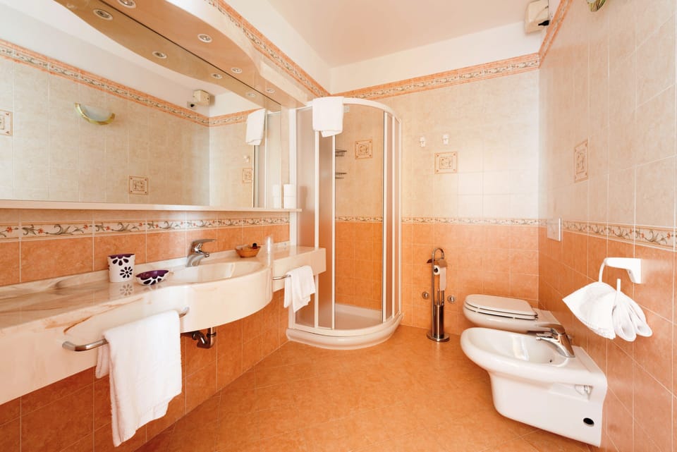 Hair dryer, bidet, towels