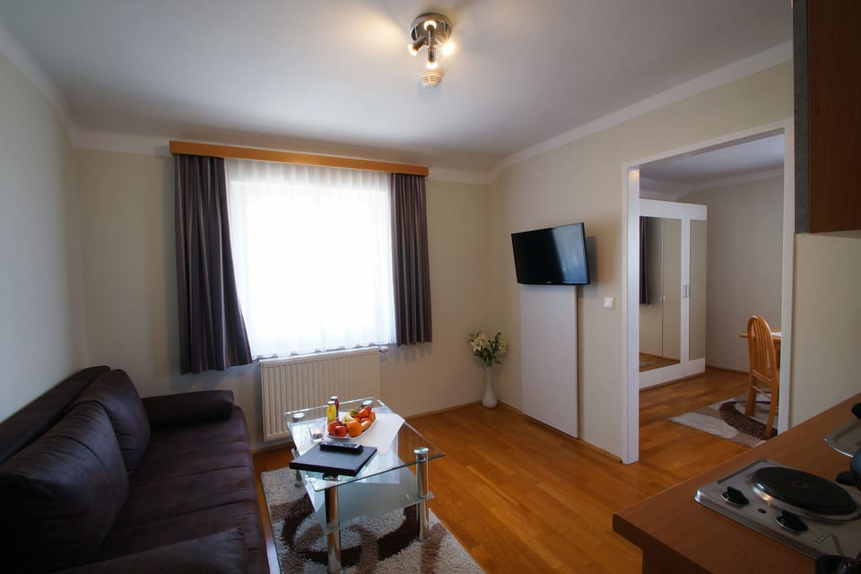 Panoramic Apartment, 1 Bedroom, Kitchenette, City View | Living area | 32-inch TV with satellite channels