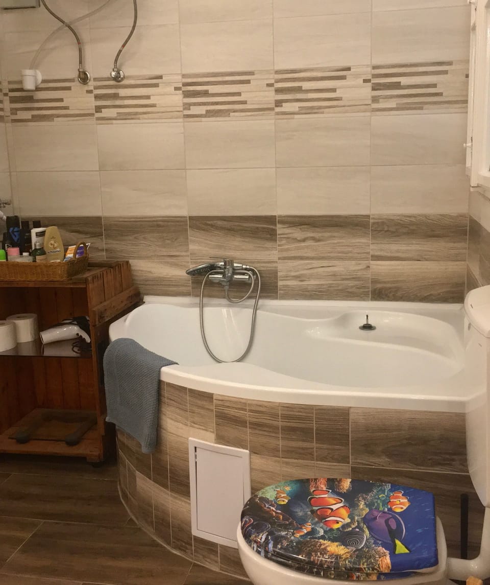Hair dryer, towels, soap, toilet paper
