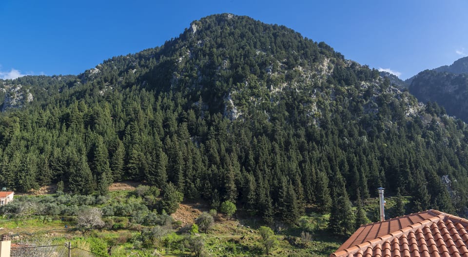 Mountain view