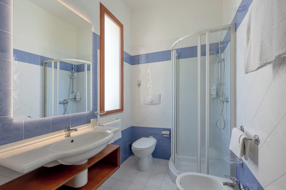 Shower, hair dryer, bidet, towels
