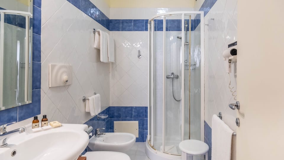 Shower, hair dryer, bidet, towels