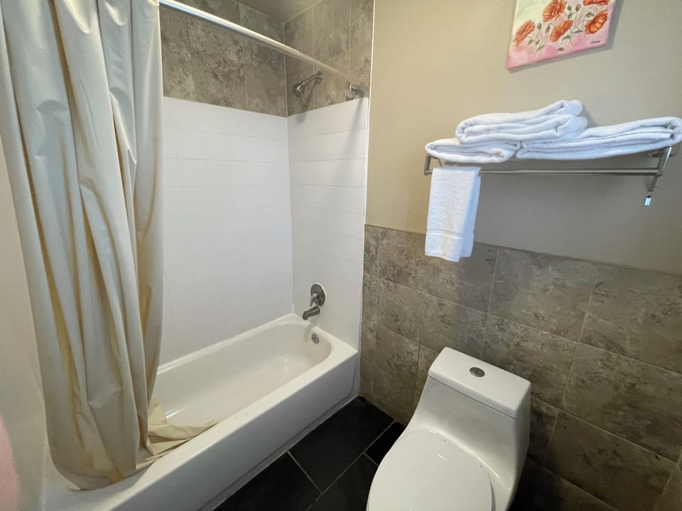 Standard Room, 2 Queen Beds | Bathroom | Hair dryer, towels