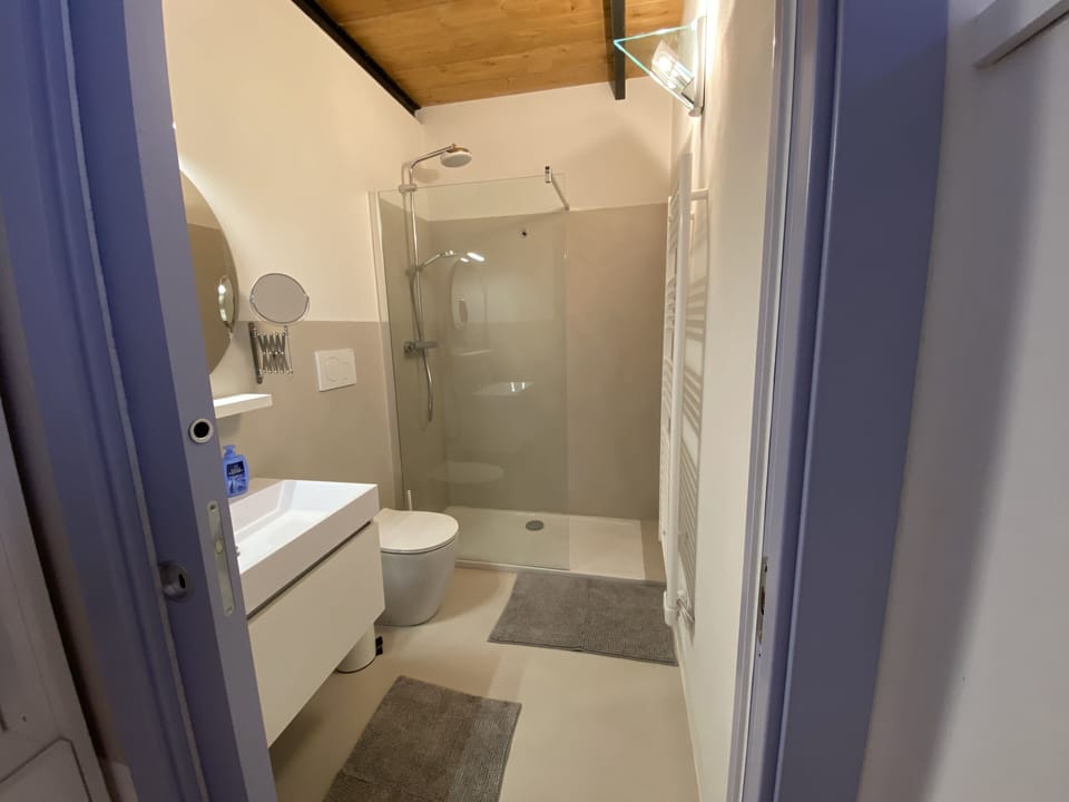 Large bathroom with walk-in shower.