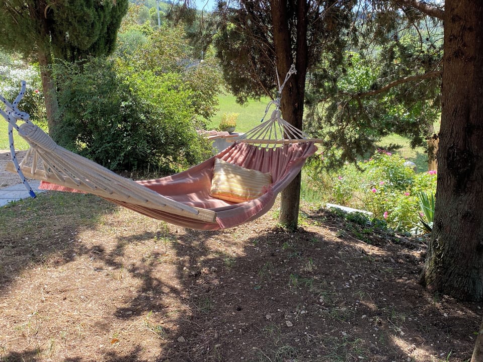 The hammock