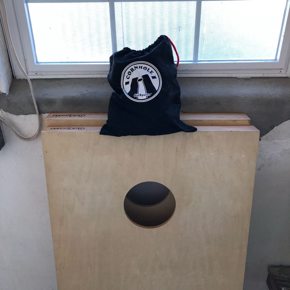 Cornhole birds in the garage. 