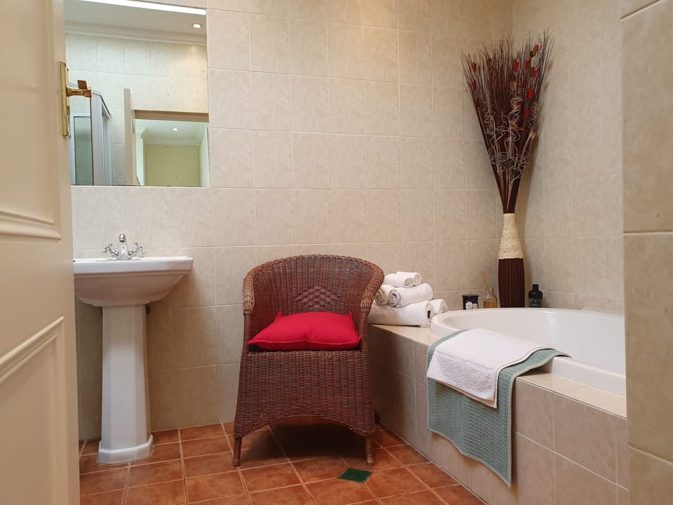 Deluxe Suite | Bathroom | Hair dryer, towels, soap, shampoo