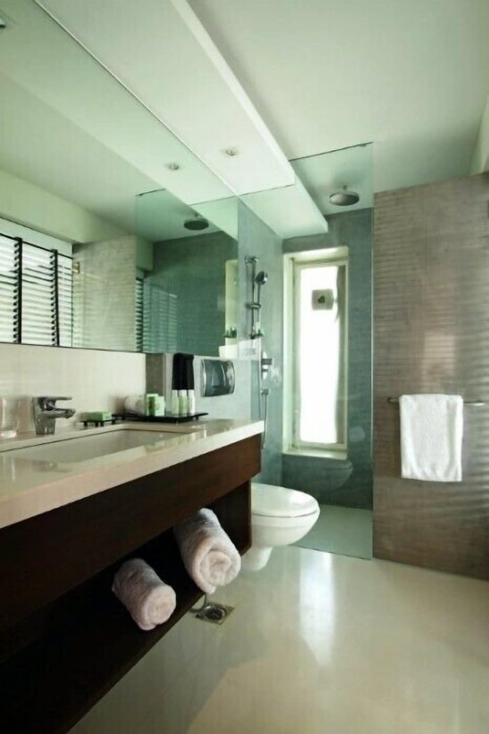 Luxury Suite | Bathroom | Shower, rainfall showerhead, free toiletries, hair dryer
