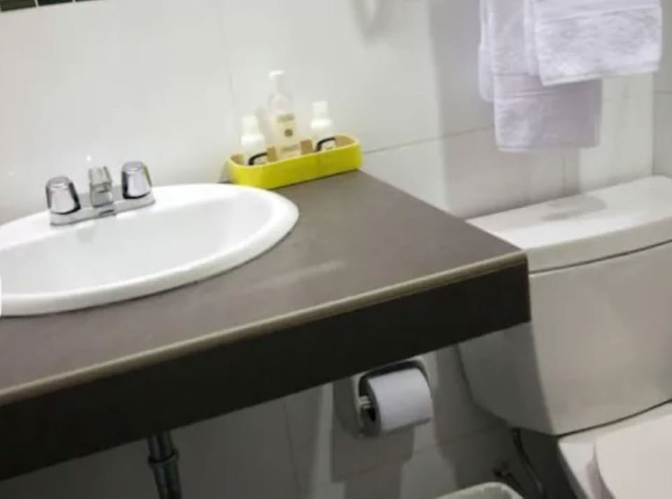 Single Room | Bathroom | Shower, rainfall showerhead, free toiletries, hair dryer