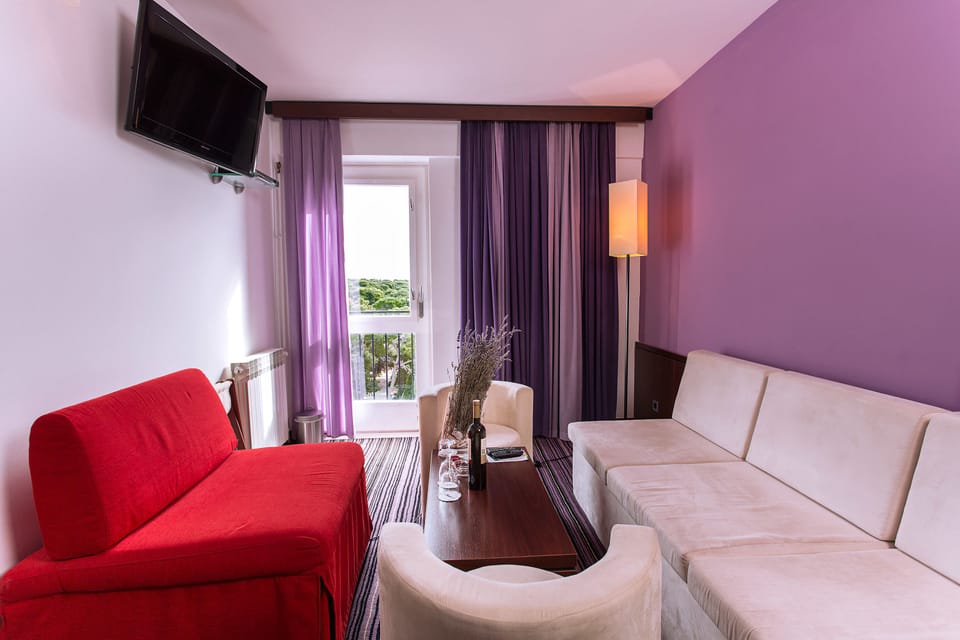 Basic Suite, Balcony (Sea View) | Living room | 65-cm plasma TV with satellite channels, TV