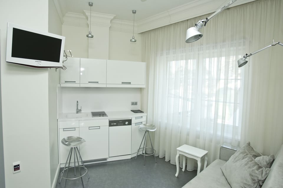 Studio | Private kitchen | Fridge