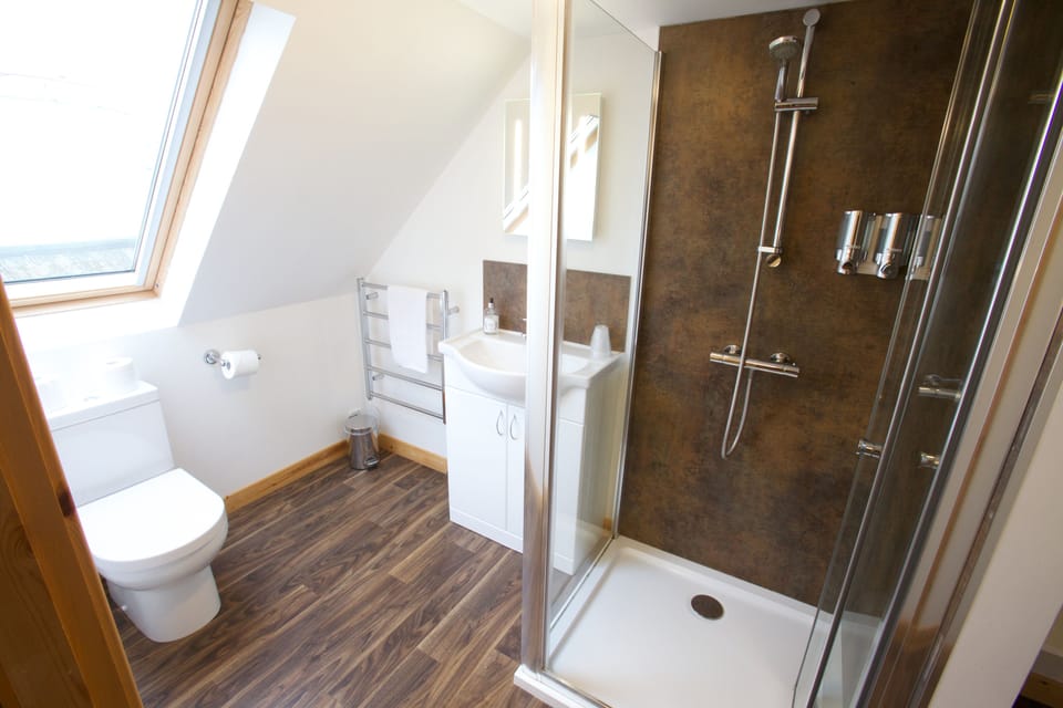 Suite | Bathroom | Shower, free toiletries, hair dryer, towels