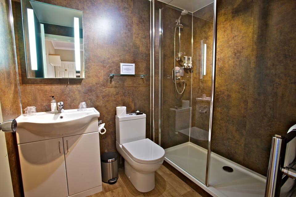 Premier Double Room | Bathroom | Shower, free toiletries, hair dryer, towels