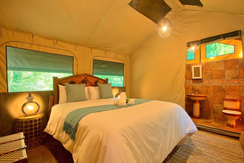 Safari Tent Room | In-room safe, desk, iron/ironing board, WiFi (free)