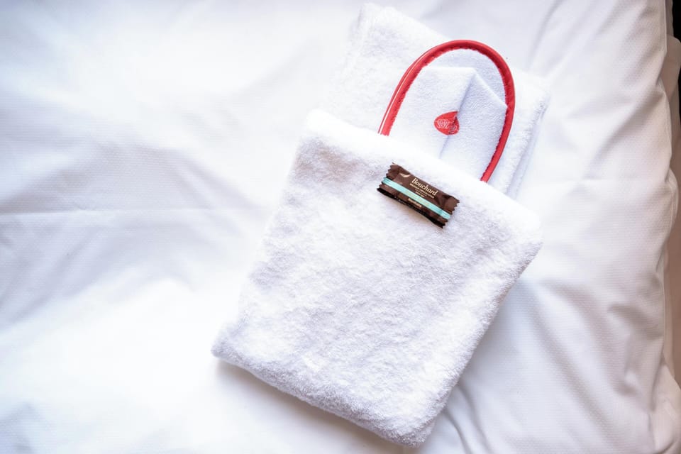 Standard Single Room | Desk, iron/ironing board, free WiFi, bed sheets