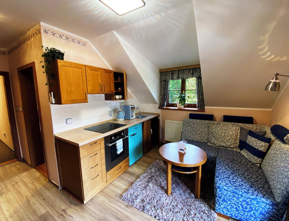 Deluxe Apartment, 1 Queen Bed, Jetted Tub | Private kitchen