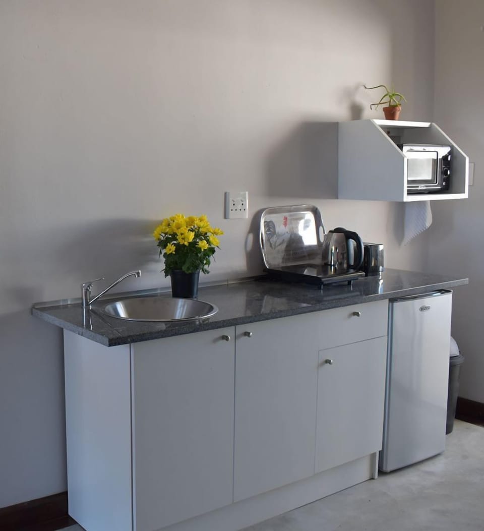 Electric kettle