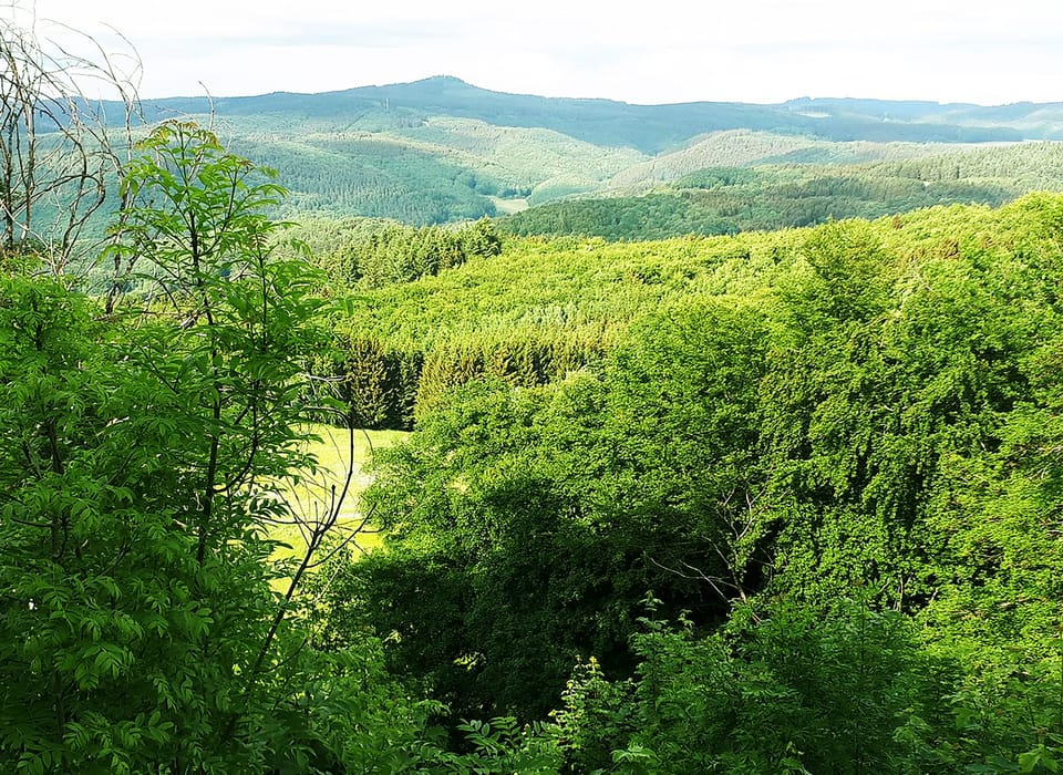 Hiking