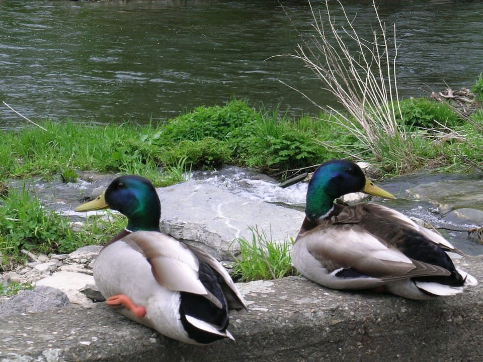 House | Interior detail