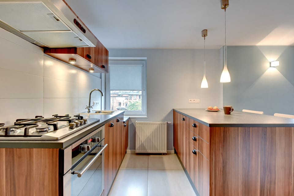 Basic Apartment | Private kitchen | Full-size fridge, oven, stovetop, dishwasher