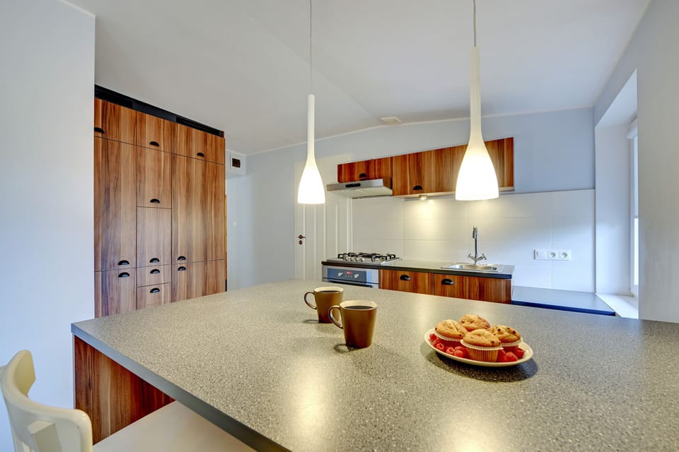 Basic Apartment | Private kitchen | Full-size fridge, oven, stovetop, dishwasher