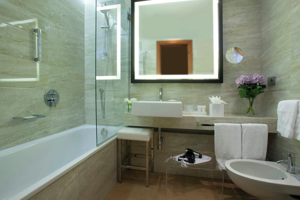 Hair dryer, bidet, towels