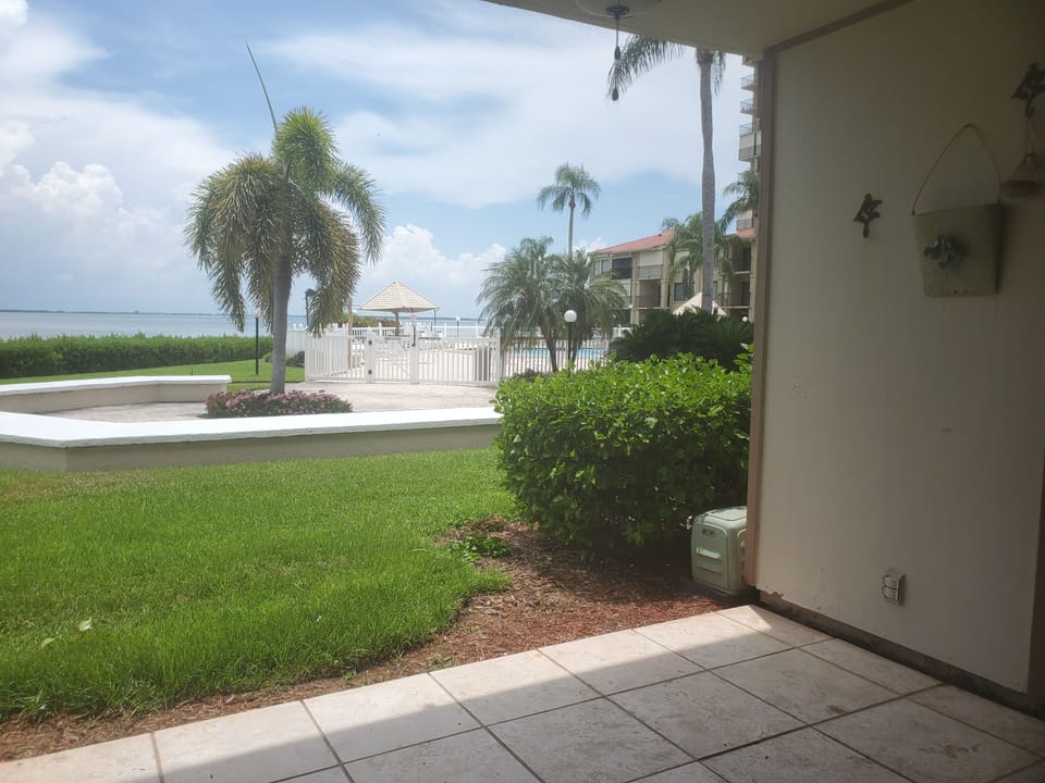 Patio View