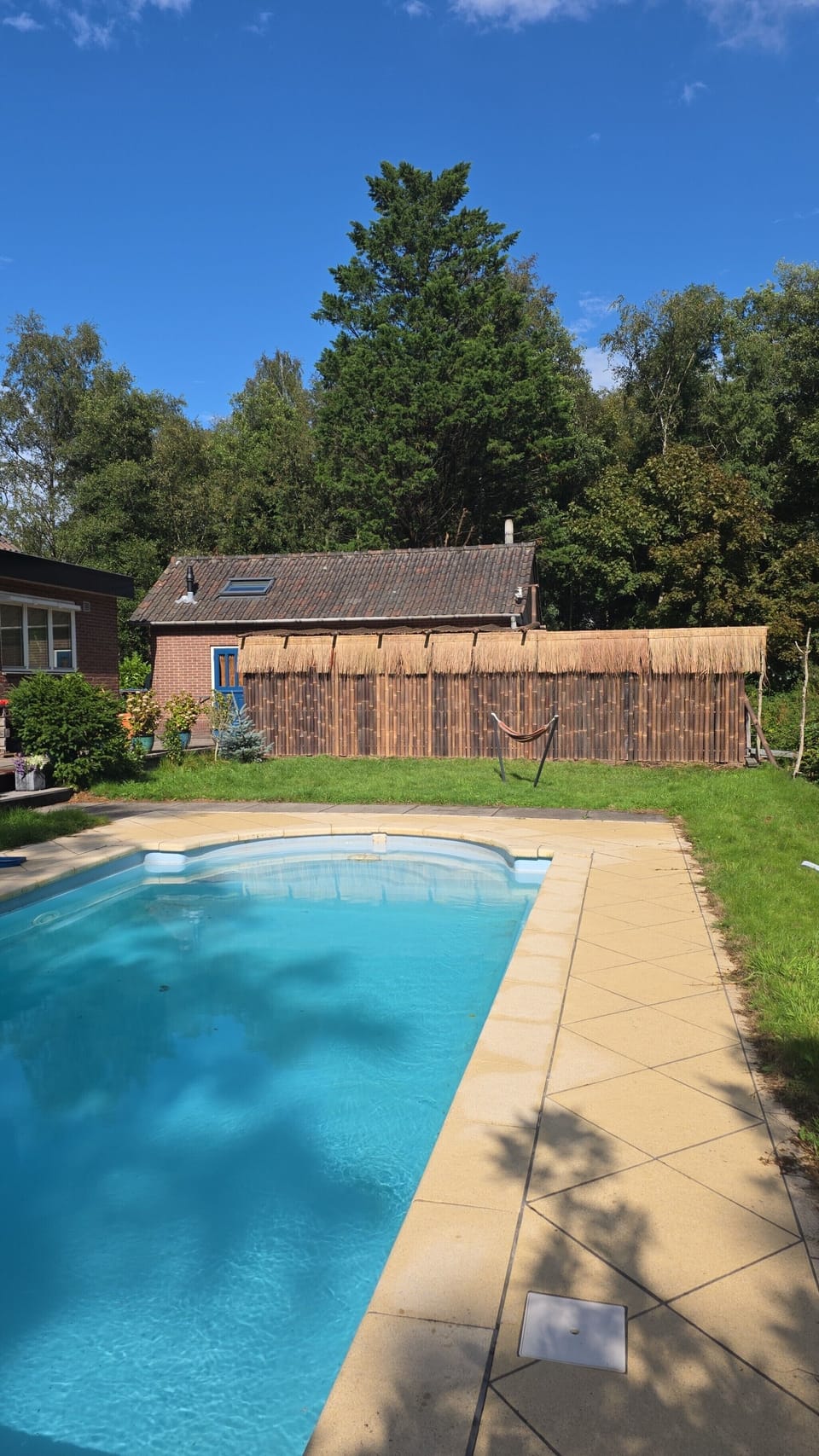 Private backyard pool with sunny deck and peaceful outdoor setting