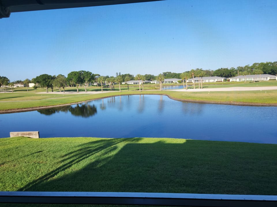 Fish, fowl and other wildlife (gators) are constant visitors outside our lanai