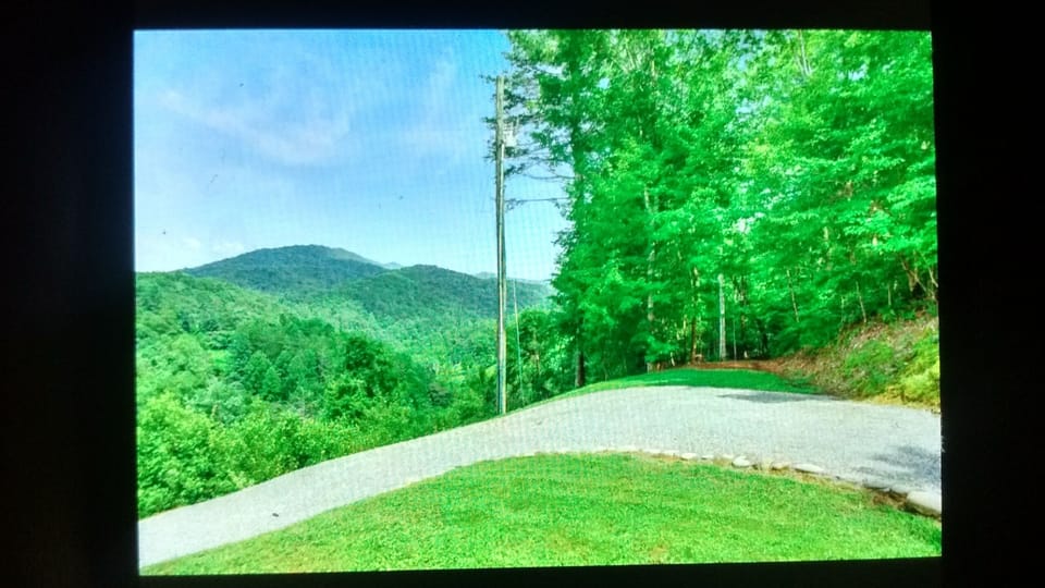 View from driveway