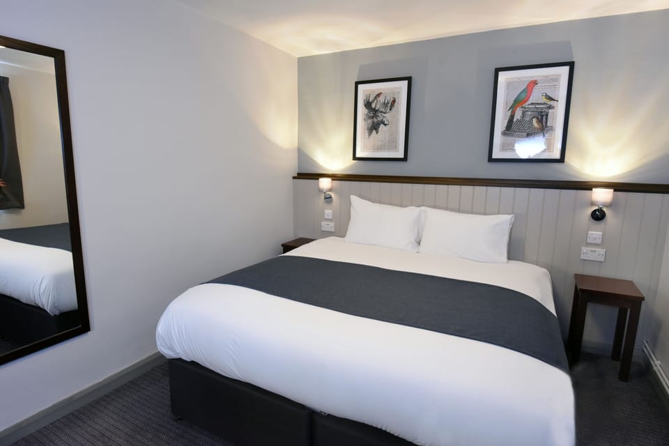 King Room | Desk, free WiFi, bed sheets