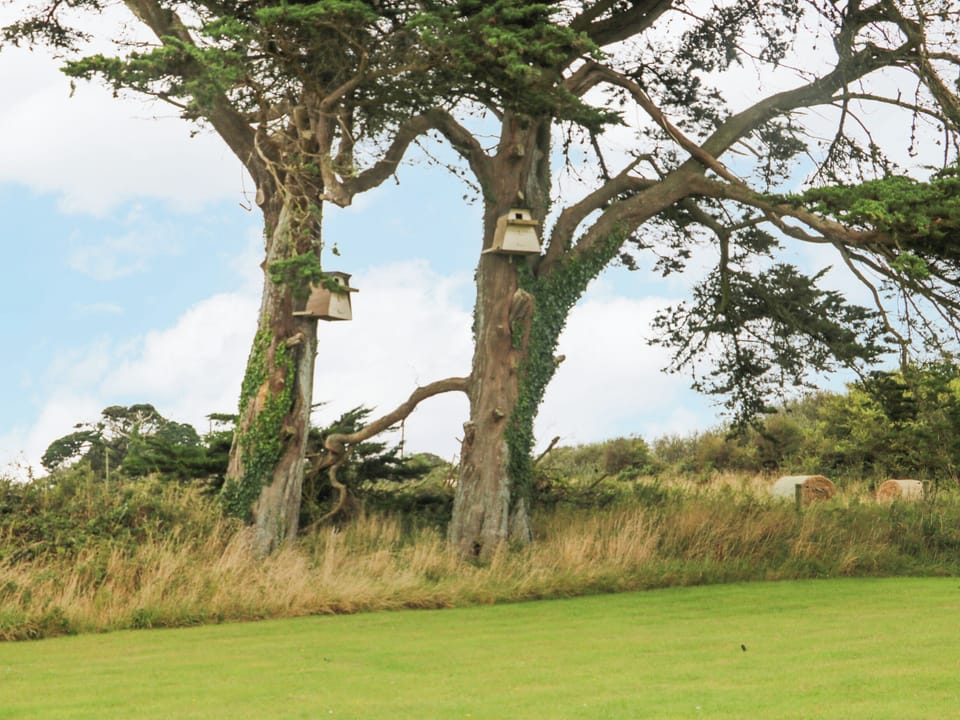 Cottage | Miscellaneous