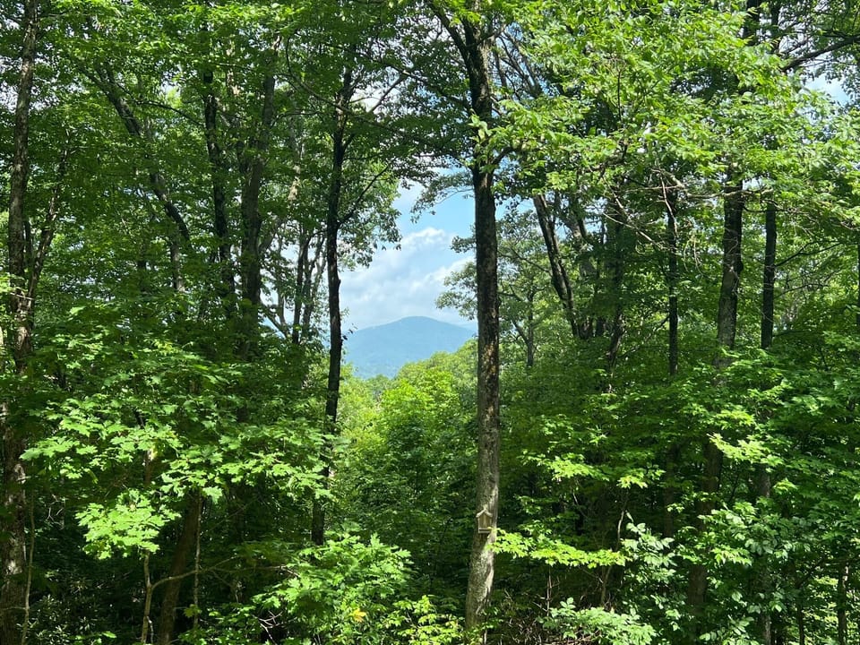 Summer View 2023