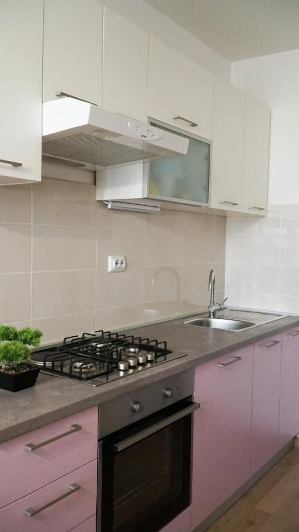 Fridge, oven, stovetop, cookware/dishes/utensils