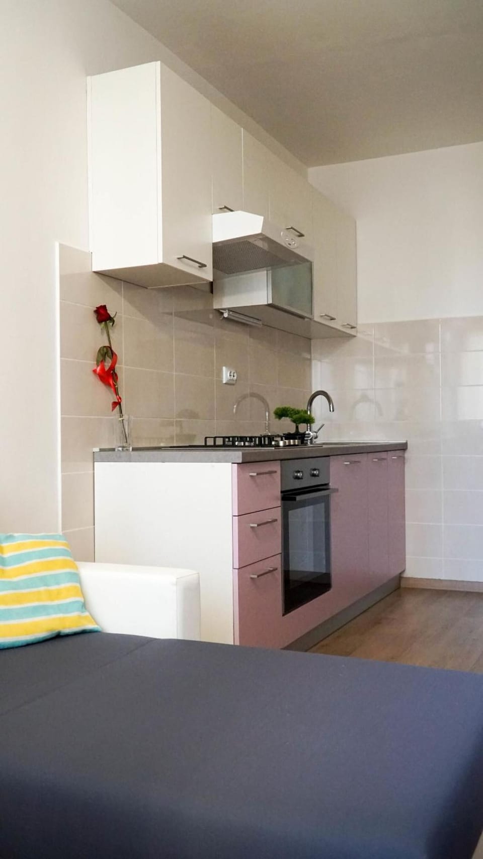 Fridge, oven, stovetop, cookware/dishes/utensils