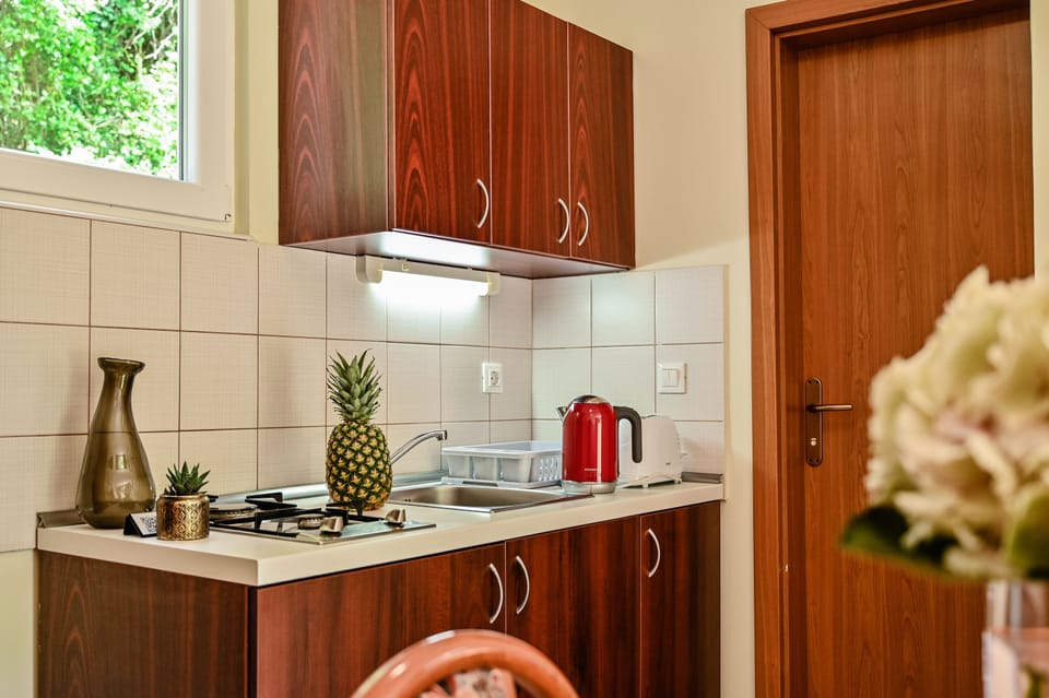 Standard Apartment | Private kitchen | Shared fridge