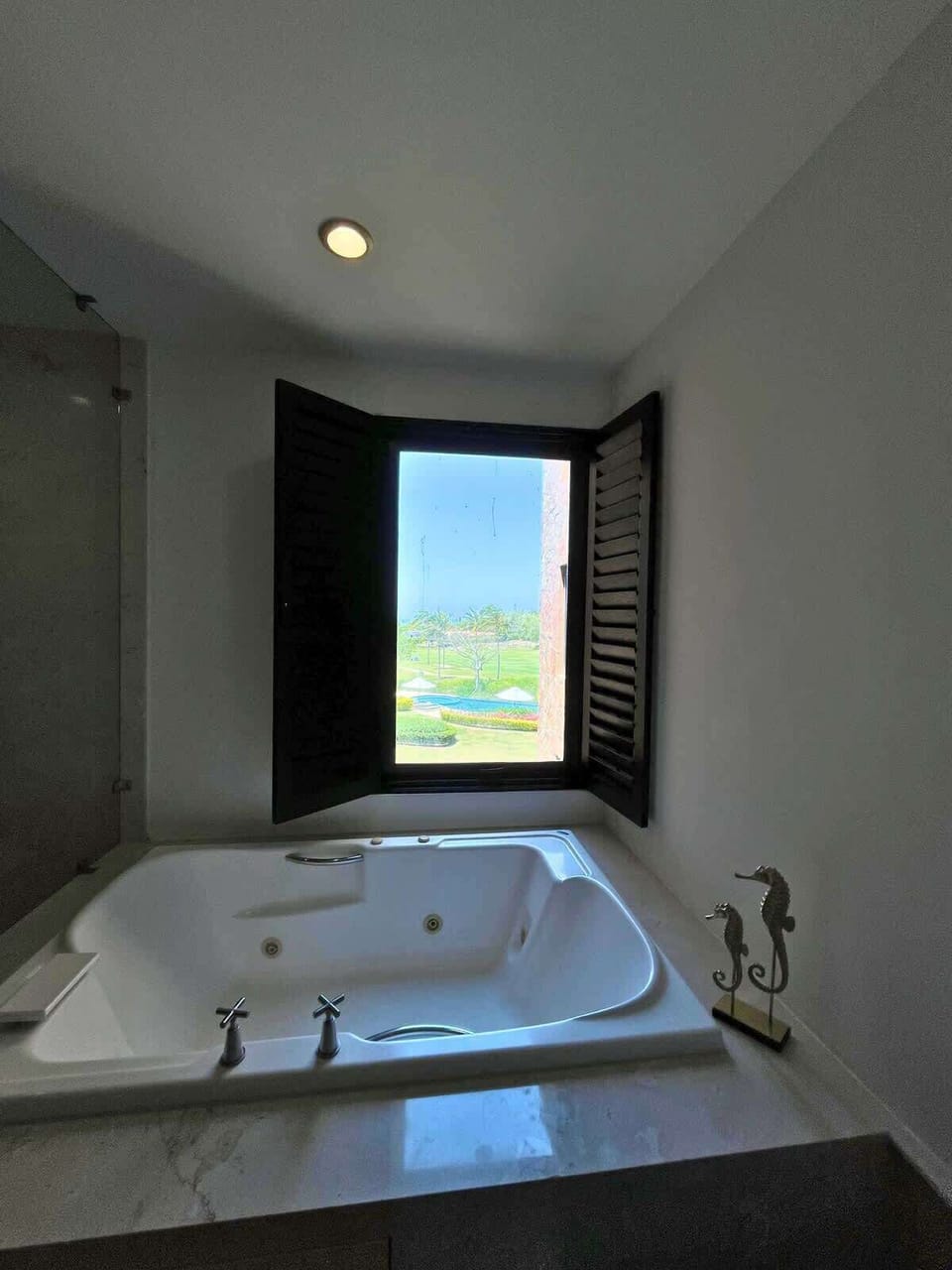 Luxurious tubs with serene views