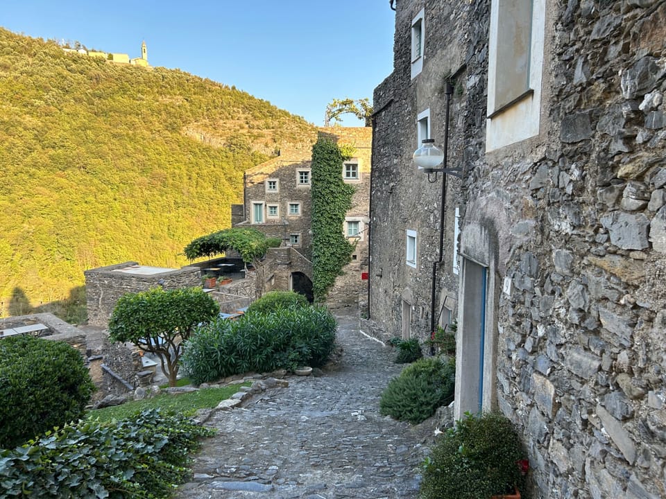 House | Property grounds