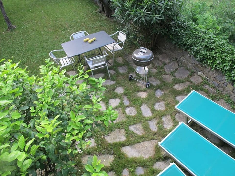 House | Property grounds