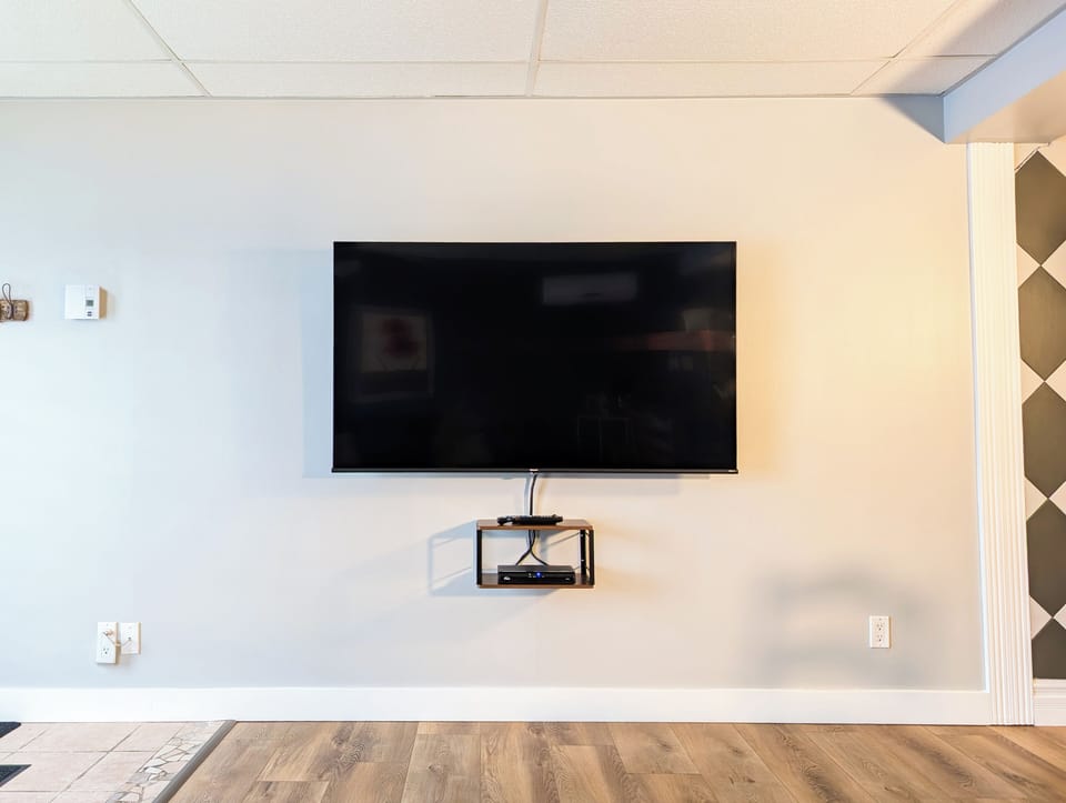 Television