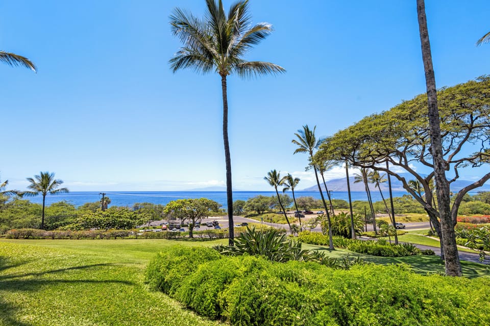 Property grounds feature manicured lawns, towering palms, and sweeping ocean views in a lush tropical Hawaiian setting.