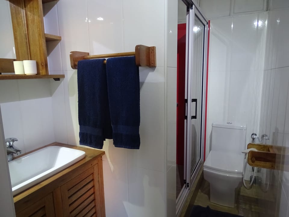 Shower, rainfall showerhead, hair dryer, towels