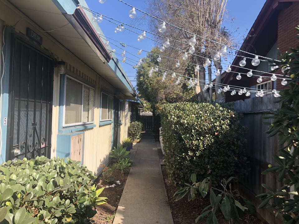 Fun vegetation grows throughout the property 