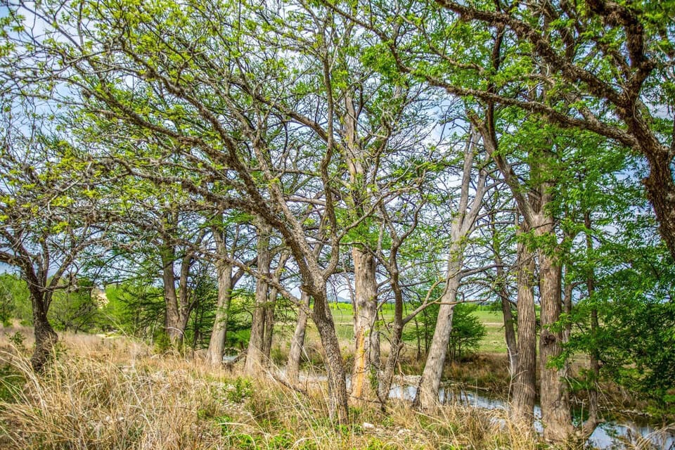 Private access to the Medina River is one of the many things that really sets the Hideaway apart!