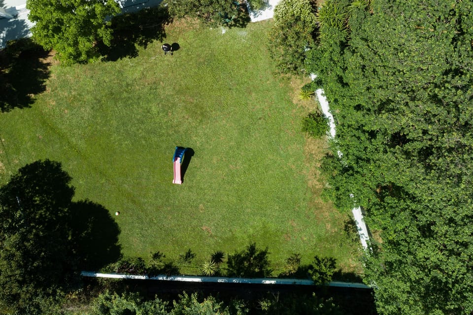The garden