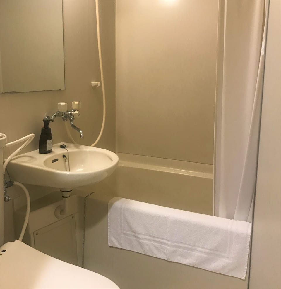 Combined shower/tub, free toiletries, hair dryer, towels