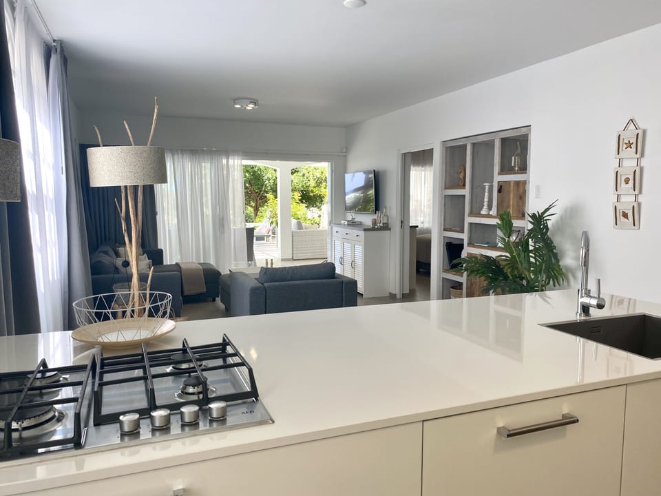 View from the kitchen to the living area