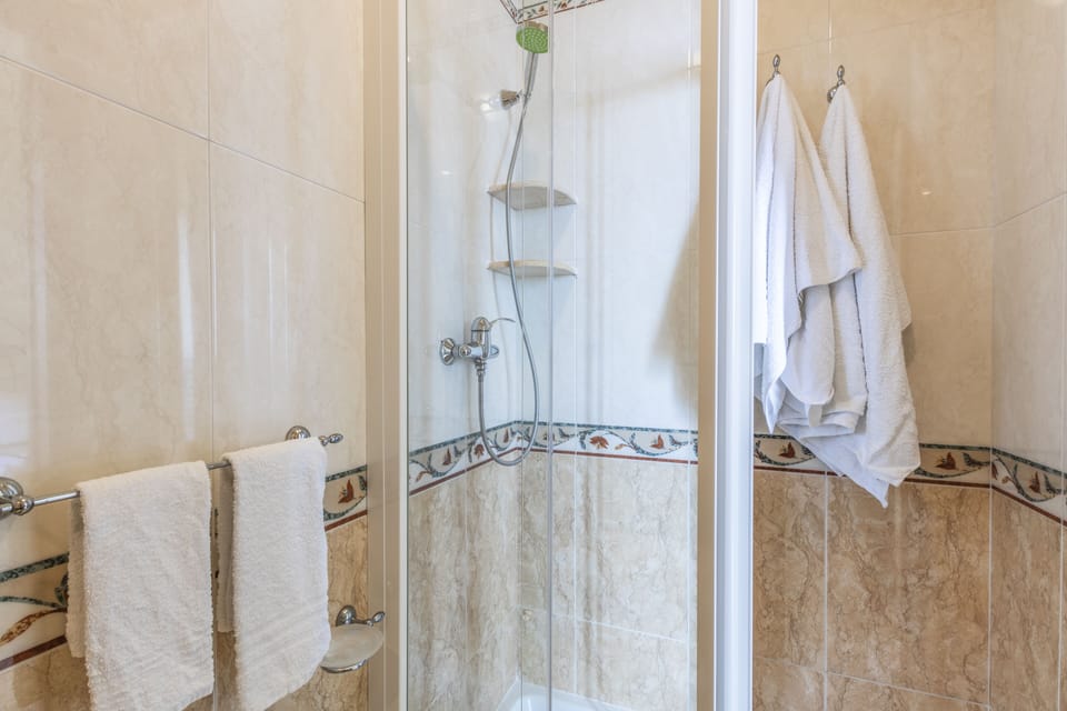Shower, free toiletries, hair dryer, towels
