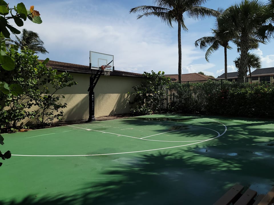 Half court basketball at main pool