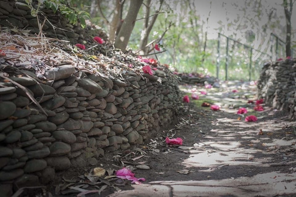 Drystone walling of Norala Garden